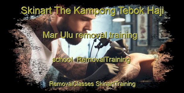 Skinart The Kampong Tebok Haji Mar Ulu removal training school | #RemovalTraining #RemovalClasses #SkinartTraining-Malaysia