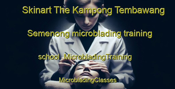 Skinart The Kampong Tembawang Semenong microblading training school | #MicrobladingTraining #MicrobladingClasses #SkinartTraining-Malaysia