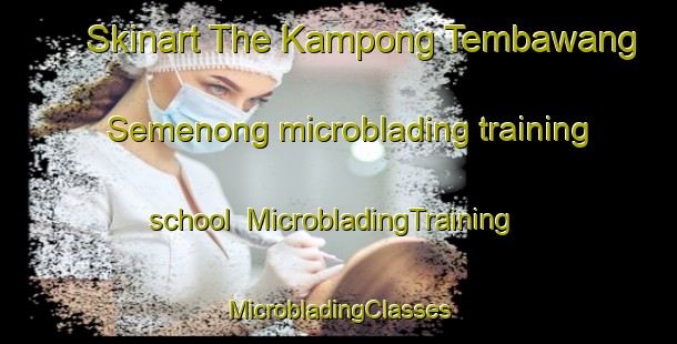 Skinart The Kampong Tembawang Semenong microblading training school | #MicrobladingTraining #MicrobladingClasses #SkinartTraining-Malaysia