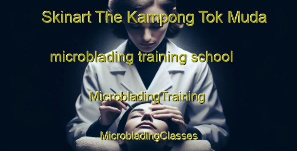 Skinart The Kampong Tok Muda microblading training school | #MicrobladingTraining #MicrobladingClasses #SkinartTraining-Malaysia