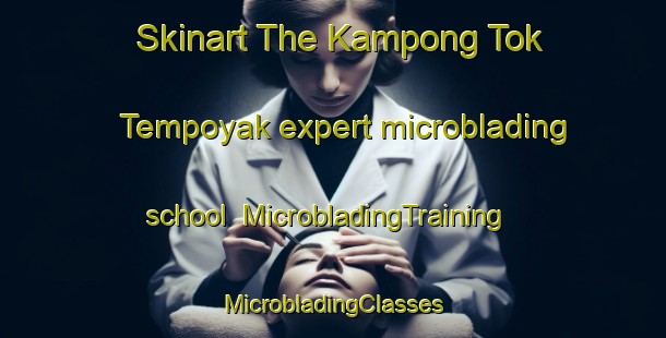 Skinart The Kampong Tok Tempoyak expert microblading school | #MicrobladingTraining #MicrobladingClasses #SkinartTraining-Malaysia