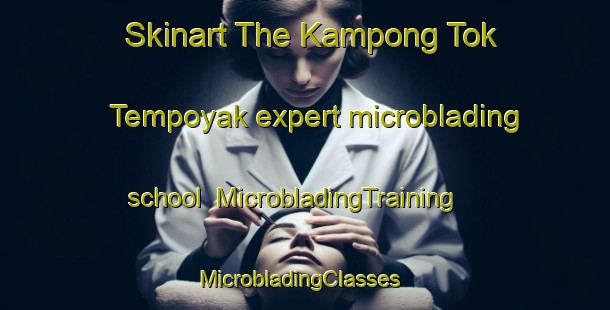Skinart The Kampong Tok Tempoyak expert microblading school | MicrobladingTraining | MicrobladingClasses | SkinartTraining-Malaysia