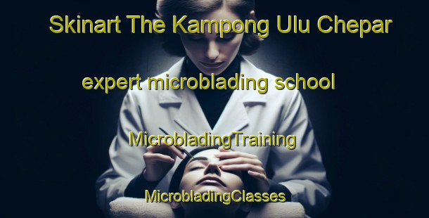 Skinart The Kampong Ulu Chepar expert microblading school | #MicrobladingTraining #MicrobladingClasses #SkinartTraining-Malaysia