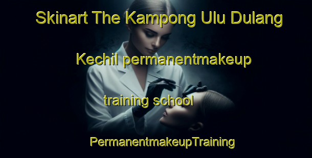 Skinart The Kampong Ulu Dulang Kechil permanentmakeup training school | #PermanentmakeupTraining #PermanentmakeupClasses #SkinartTraining-Malaysia