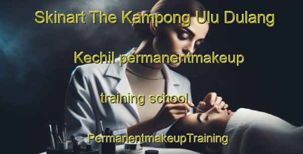 Skinart The Kampong Ulu Dulang Kechil permanentmakeup training school | #PermanentmakeupTraining #PermanentmakeupClasses #SkinartTraining-Malaysia