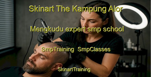 Skinart The Kampung Alor Mengkudu expert smp school | SmpTraining | SmpClasses | SkinartTraining-Malaysia