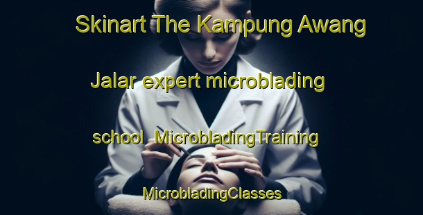 Skinart The Kampung Awang Jalar expert microblading school | #MicrobladingTraining #MicrobladingClasses #SkinartTraining-Malaysia