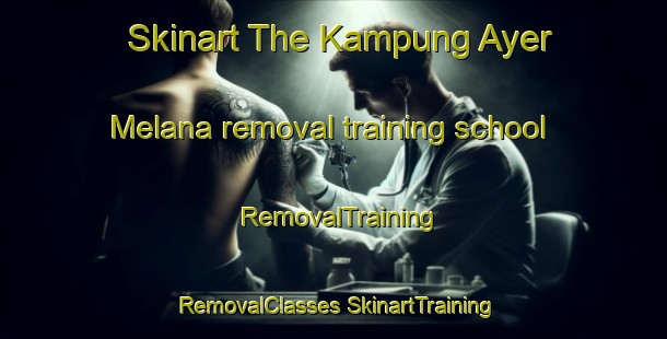 Skinart The Kampung Ayer Melana removal training school | #RemovalTraining #RemovalClasses #SkinartTraining-Malaysia