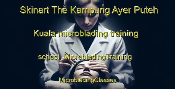 Skinart The Kampung Ayer Puteh Kuala microblading training school | #MicrobladingTraining #MicrobladingClasses #SkinartTraining-Malaysia