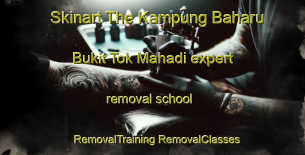 Skinart The Kampung Baharu Bukit Tok Mahadi expert removal school | #RemovalTraining #RemovalClasses #SkinartTraining-Malaysia