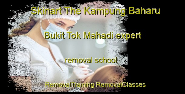 Skinart The Kampung Baharu Bukit Tok Mahadi expert removal school | #RemovalTraining #RemovalClasses #SkinartTraining-Malaysia