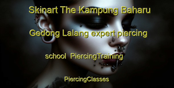 Skinart The Kampung Baharu Gedong Lalang expert piercing school | #PiercingTraining #PiercingClasses #SkinartTraining-Malaysia