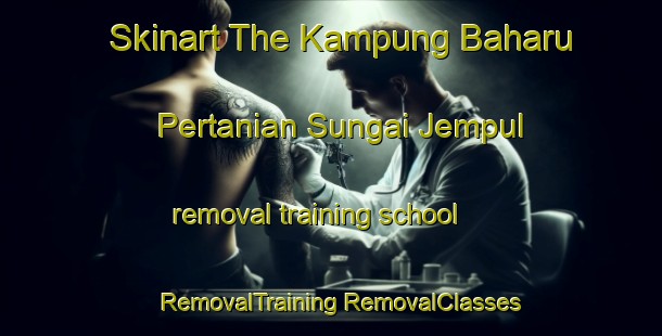 Skinart The Kampung Baharu Pertanian Sungai Jempul removal training school | #RemovalTraining #RemovalClasses #SkinartTraining-Malaysia