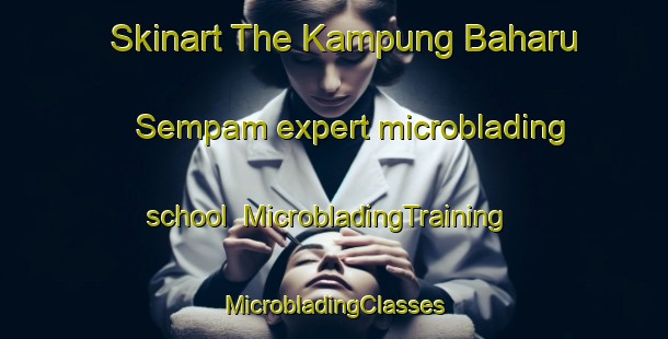 Skinart The Kampung Baharu Sempam expert microblading school | #MicrobladingTraining #MicrobladingClasses #SkinartTraining-Malaysia