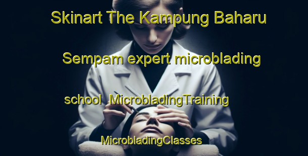 Skinart The Kampung Baharu Sempam expert microblading school | MicrobladingTraining | MicrobladingClasses | SkinartTraining-Malaysia