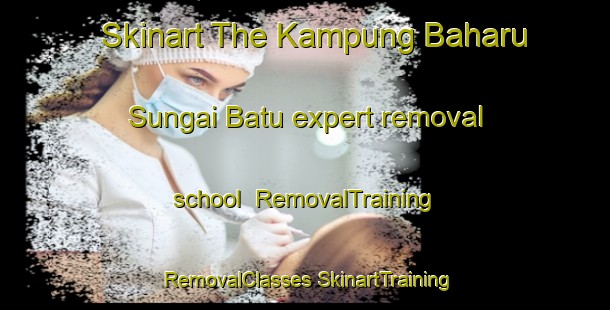 Skinart The Kampung Baharu Sungai Batu expert removal school | #RemovalTraining #RemovalClasses #SkinartTraining-Malaysia