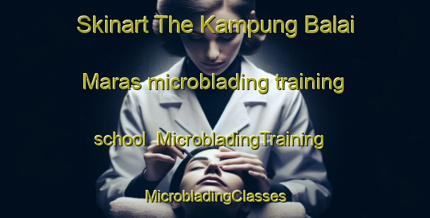 Skinart The Kampung Balai Maras microblading training school | #MicrobladingTraining #MicrobladingClasses #SkinartTraining-Malaysia