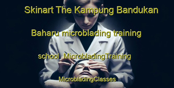 Skinart The Kampung Bandukan Baharu microblading training school | #MicrobladingTraining #MicrobladingClasses #SkinartTraining-Malaysia