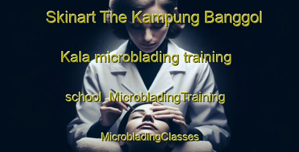 Skinart The Kampung Banggol Kala microblading training school | #MicrobladingTraining #MicrobladingClasses #SkinartTraining-Malaysia