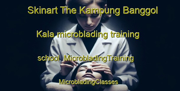 Skinart The Kampung Banggol Kala microblading training school | MicrobladingTraining | MicrobladingClasses | SkinartTraining-Malaysia
