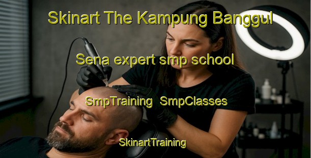 Skinart The Kampung Banggul Sena expert smp school | SmpTraining | SmpClasses | SkinartTraining-Malaysia