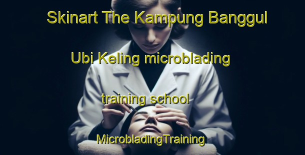 Skinart The Kampung Banggul Ubi Keling microblading training school | #MicrobladingTraining #MicrobladingClasses #SkinartTraining-Malaysia