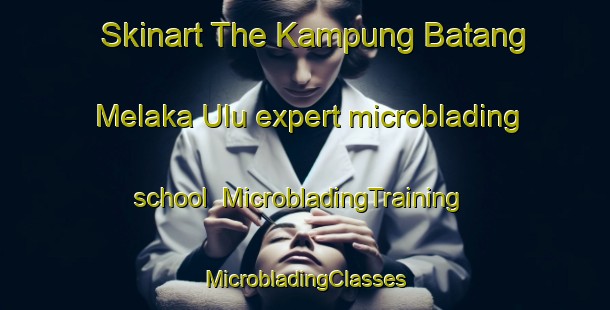 Skinart The Kampung Batang Melaka Ulu expert microblading school | #MicrobladingTraining #MicrobladingClasses #SkinartTraining-Malaysia