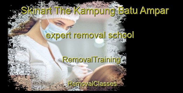 Skinart The Kampung Batu Ampar expert removal school | RemovalTraining | RemovalClasses | SkinartTraining-Malaysia