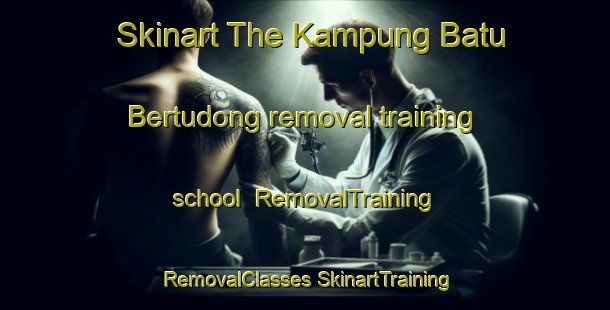 Skinart The Kampung Batu Bertudong removal training school | #RemovalTraining #RemovalClasses #SkinartTraining-Malaysia