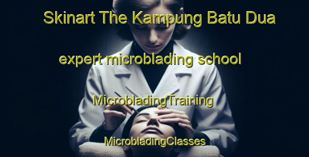 Skinart The Kampung Batu Dua expert microblading school | #MicrobladingTraining #MicrobladingClasses #SkinartTraining-Malaysia