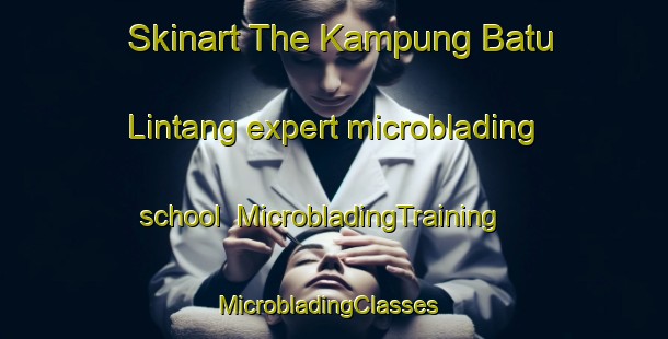 Skinart The Kampung Batu Lintang expert microblading school | MicrobladingTraining | MicrobladingClasses | SkinartTraining-Malaysia