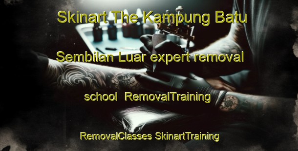 Skinart The Kampung Batu Sembilan Luar expert removal school | #RemovalTraining #RemovalClasses #SkinartTraining-Malaysia