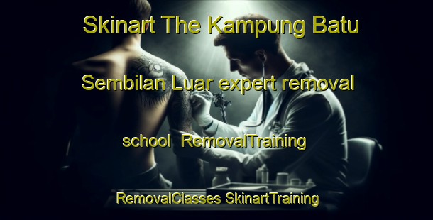 Skinart The Kampung Batu Sembilan Luar expert removal school | #RemovalTraining #RemovalClasses #SkinartTraining-Malaysia