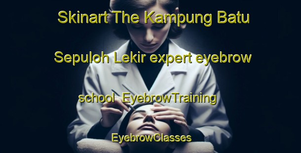 Skinart The Kampung Batu Sepuloh Lekir expert eyebrow school | EyebrowTraining | EyebrowClasses | SkinartTraining-Malaysia