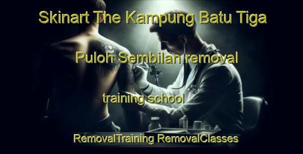 Skinart The Kampung Batu Tiga Puloh Sembilan removal training school | #RemovalTraining #RemovalClasses #SkinartTraining-Malaysia