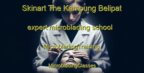 Skinart The Kampung Belipat expert microblading school | #MicrobladingTraining #MicrobladingClasses #SkinartTraining-Malaysia