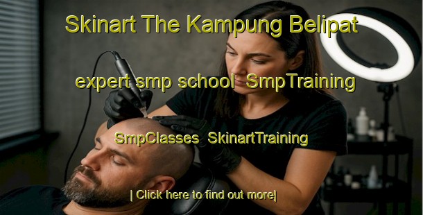 Skinart The Kampung Belipat expert smp school | SmpTraining | SmpClasses | SkinartTraining-Malaysia