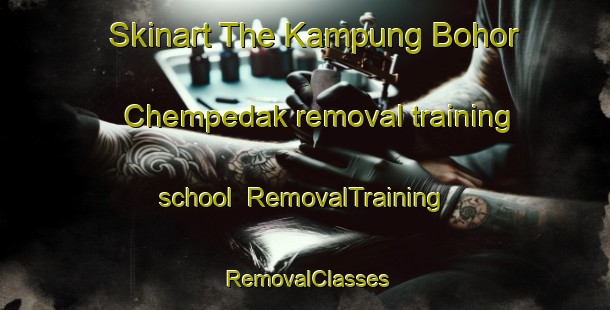 Skinart The Kampung Bohor Chempedak removal training school | RemovalTraining | RemovalClasses | SkinartTraining-Malaysia