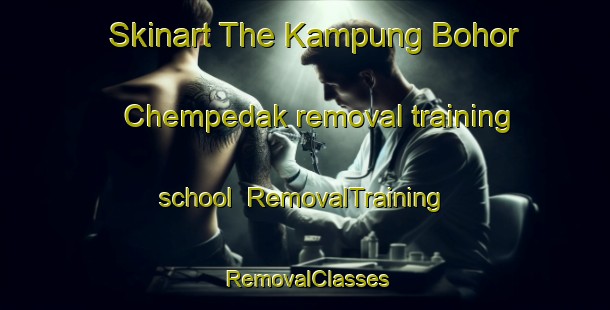 Skinart The Kampung Bohor Chempedak removal training school | RemovalTraining | RemovalClasses | SkinartTraining-Malaysia