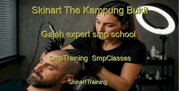 Skinart The Kampung Bukit Gajah expert smp school | SmpTraining | SmpClasses | SkinartTraining-Malaysia