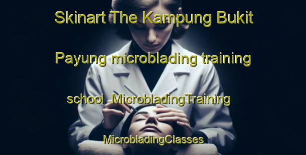 Skinart The Kampung Bukit Payung microblading training school | #MicrobladingTraining #MicrobladingClasses #SkinartTraining-Malaysia