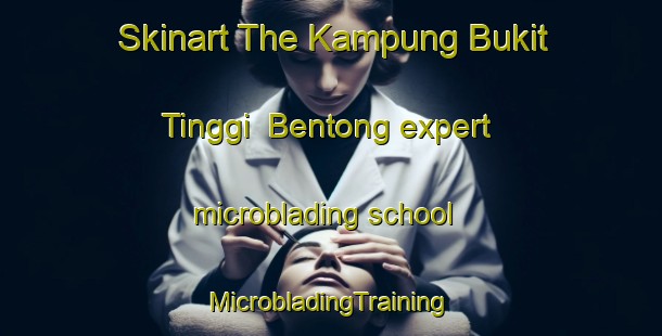 Skinart The Kampung Bukit Tinggi  Bentong expert microblading school | #MicrobladingTraining #MicrobladingClasses #SkinartTraining-Malaysia