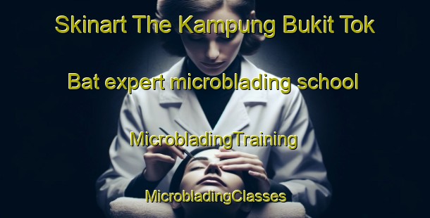 Skinart The Kampung Bukit Tok Bat expert microblading school | #MicrobladingTraining #MicrobladingClasses #SkinartTraining-Malaysia