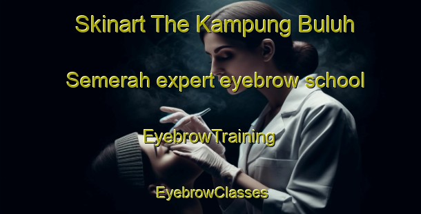 Skinart The Kampung Buluh Semerah expert eyebrow school | EyebrowTraining | EyebrowClasses | SkinartTraining-Malaysia