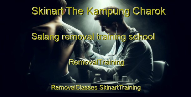 Skinart The Kampung Charok Salang removal training school | #RemovalTraining #RemovalClasses #SkinartTraining-Malaysia