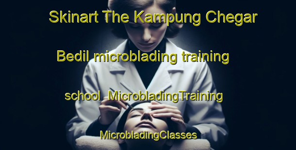 Skinart The Kampung Chegar Bedil microblading training school | #MicrobladingTraining #MicrobladingClasses #SkinartTraining-Malaysia