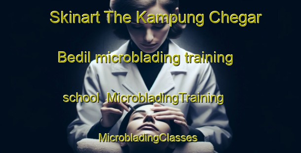 Skinart The Kampung Chegar Bedil microblading training school | MicrobladingTraining | MicrobladingClasses | SkinartTraining-Malaysia