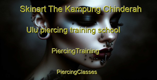 Skinart The Kampung Chinderah Ulu piercing training school | PiercingTraining | PiercingClasses | SkinartTraining-Malaysia