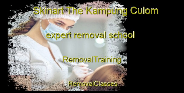 Skinart The Kampung Culom expert removal school | RemovalTraining | RemovalClasses | SkinartTraining-Malaysia