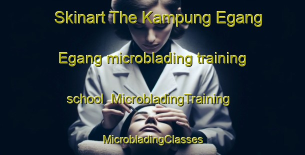 Skinart The Kampung Egang Egang microblading training school | #MicrobladingTraining #MicrobladingClasses #SkinartTraining-Malaysia